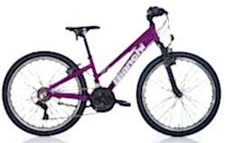 BIANCHI XR24.3 24 JANT ÇOCUK BİSİKLETİ - BIANCHI 